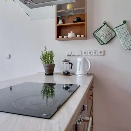 Charming 2br Garden Views In Historic Vinohrady アパート プラハ