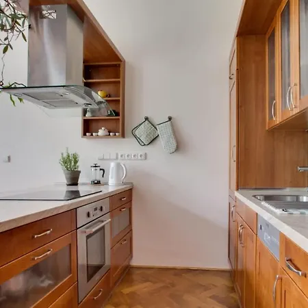 Charming 2br Garden Views In Historic Vinohrady アパート プラハ